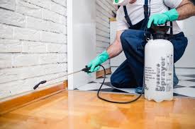 Real Estate Pest Inspections in East Hazel Crest, IL